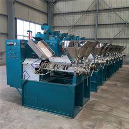 花生花生種子報(bào)價 廠家